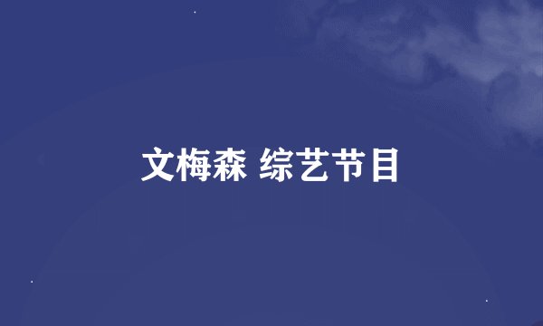 文梅森 综艺节目