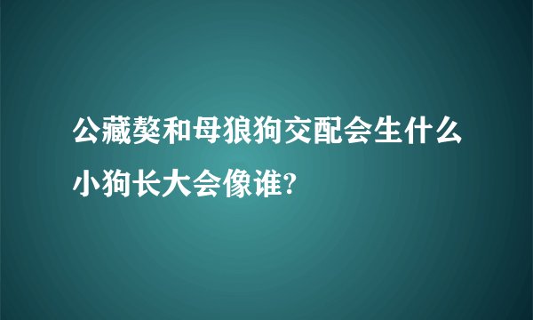 公藏獒和母狼狗交配会生什么小狗长大会像谁?