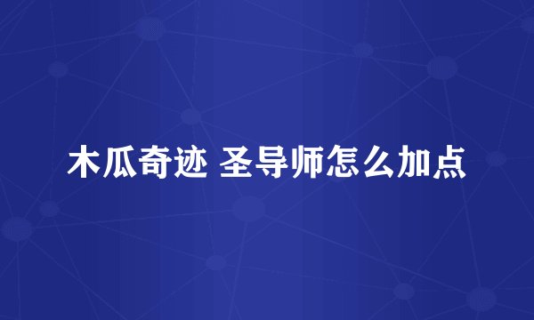 木瓜奇迹 圣导师怎么加点