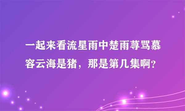 一起来看流星雨中楚雨荨骂慕容云海是猪，那是第几集啊？