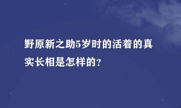 野原新之助5岁时的活着的真实长相是怎样的？