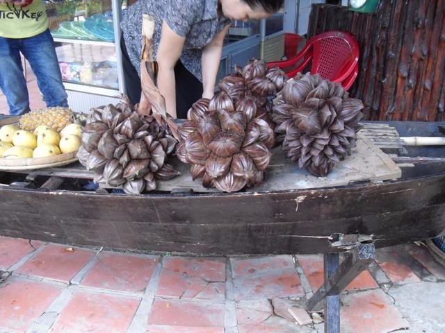 水椰子是哪里的特产呢？