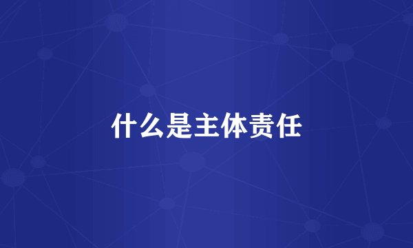 什么是主体责任