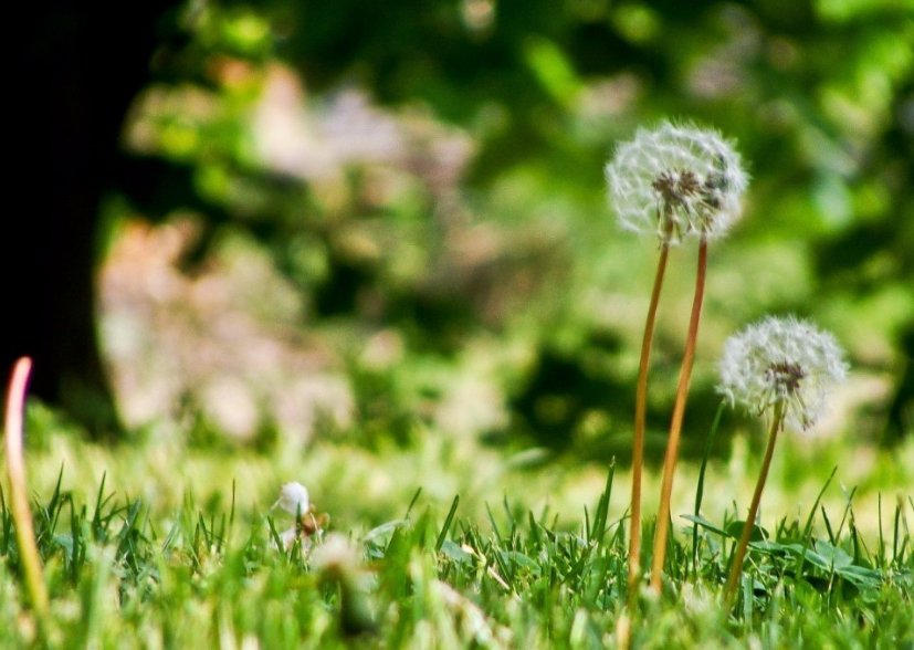 小受受是什么意思？