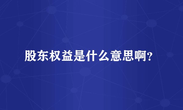 股东权益是什么意思啊？