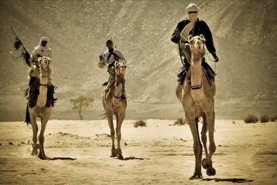 图阿雷格人的简介