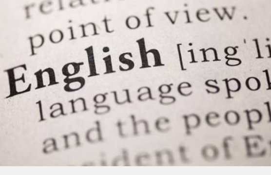 小笨蛋英文是什么