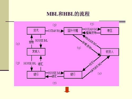 HBL和MBL的提单内容有什么不同