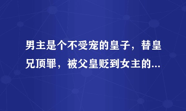男主是个不受宠的皇子，替皇兄顶罪，被父皇贬到女主的家乡。男主易容成皇兄的样子，女主也是个被冷落的人