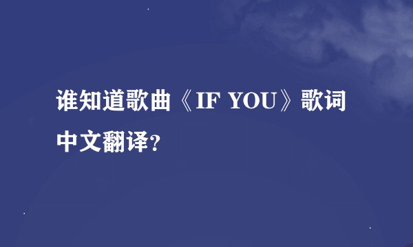 谁知道歌曲《IF YOU》歌词中文翻译？