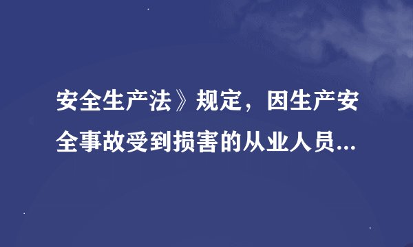安全生产法》规定，因生产安全事故受到损害的从业人员，除依法享有工伤保险外，依照有关民事法律尚有获得