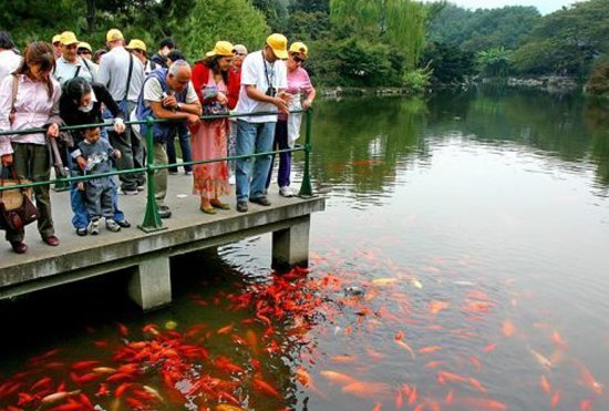 西湖十景是哪十景？