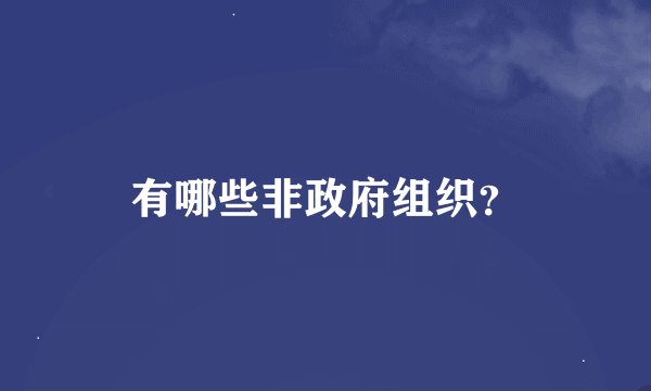 有哪些非政府组织？