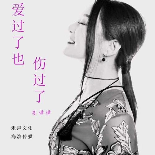 我已经爱过了我已经伤过了是什么歌