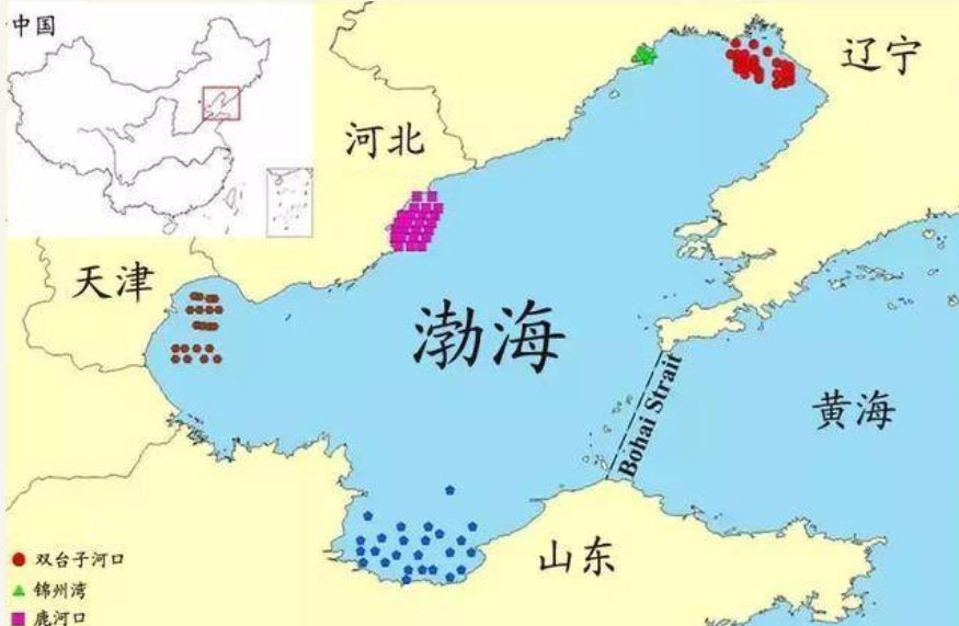 中国四大海是什么海？