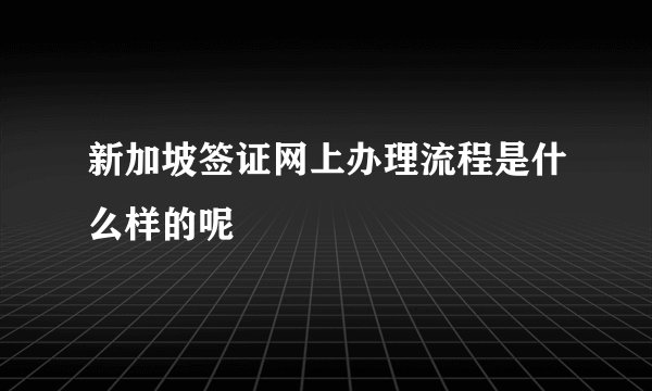 新加坡签证网上办理流程是什么样的呢