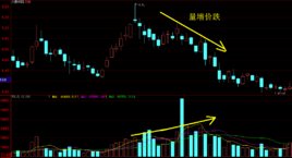 成交量和成交额有什么区别？