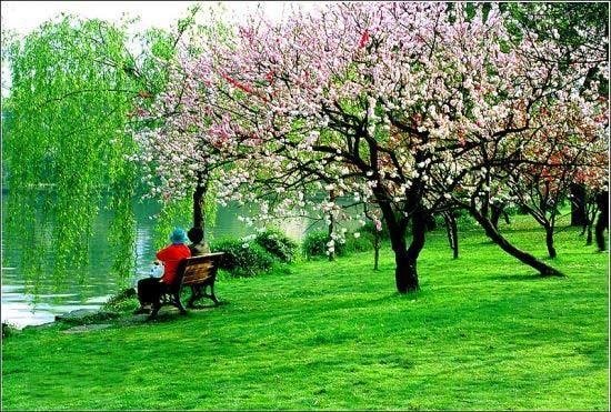 西湖十景是哪十景？