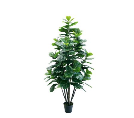 专业测甲醛多少钱一次？