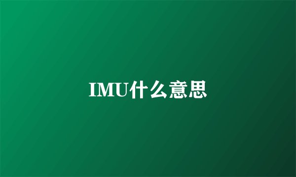 IMU什么意思