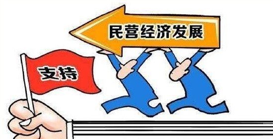 国家和政府对民营企业的扶持政策？