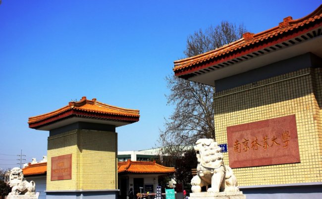 南京林业大学教务网的登录密码更改过，后来不能登进去了，怎么办？要到教务处去问吗？