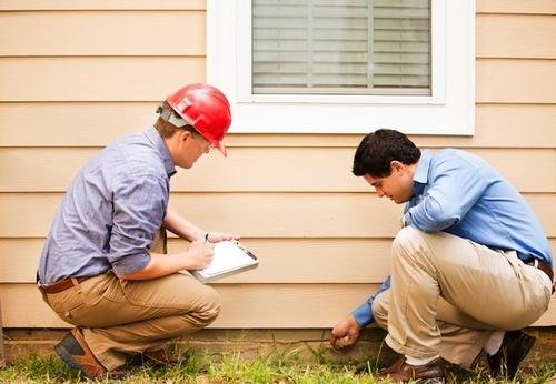 家里有蜱虫，有什么方法清理