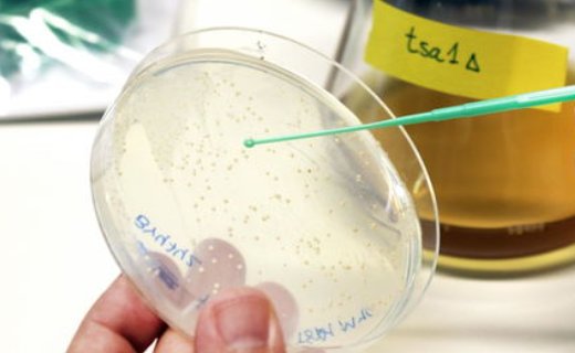 危化品分类都有哪些？