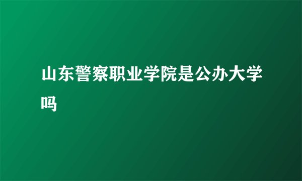 山东警察职业学院是公办大学吗