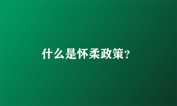 什么是怀柔政策？