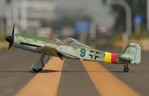 fw是什么意思网络用语