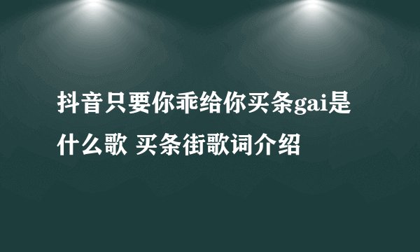 抖音只要你乖给你买条gai是什么歌 买条街歌词介绍