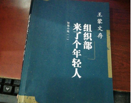 组织部来了个年轻人的形象意义