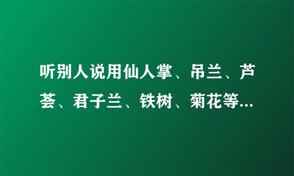 听别人说用仙人掌、吊兰、芦荟、君子兰、铁树、菊花等植物可以去除甲醛，这样做有没有效，可以除根吗？