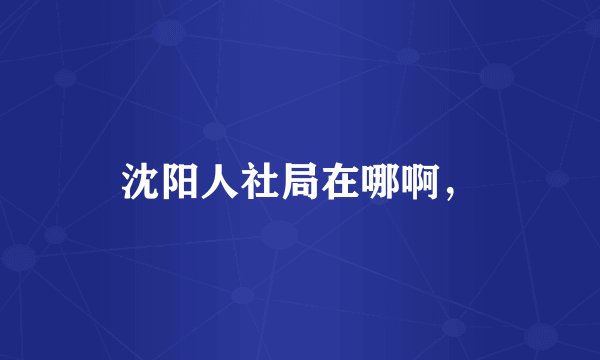 沈阳人社局在哪啊，
