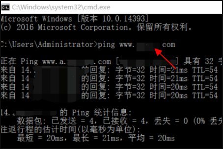 死亡之ping怎么用啊