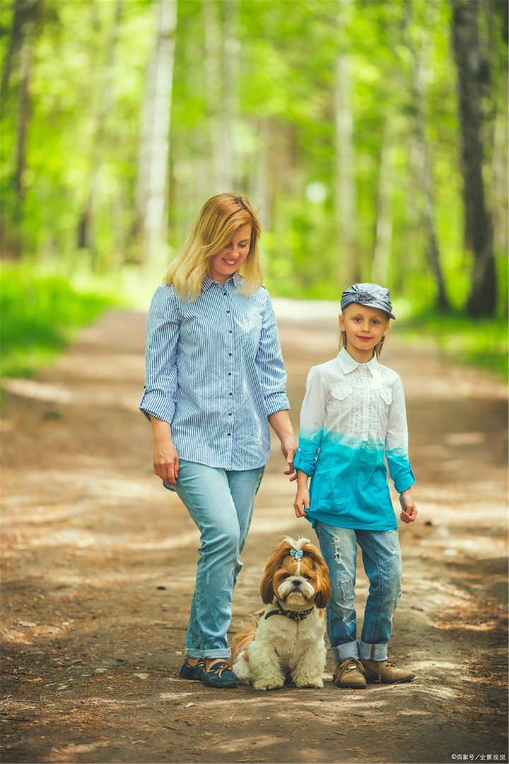 “遛狗拴绳”入法了，这意味着什么？