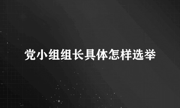 党小组组长具体怎样选举