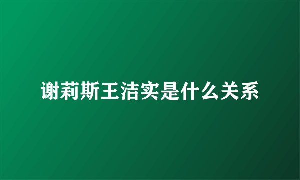 谢莉斯王洁实是什么关系
