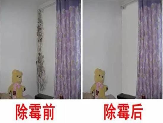 家里房间墙面潮湿发霉怎么办