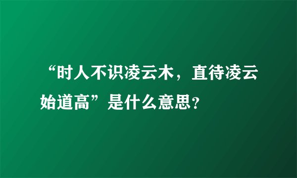 “时人不识凌云木，直待凌云始道高”是什么意思？