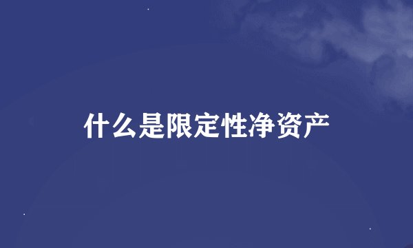 什么是限定性净资产