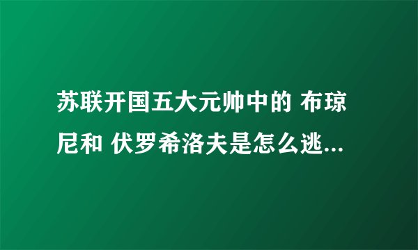苏联开国五大元帅中的 布琼尼和 伏罗希洛夫是怎么逃过大清洗的