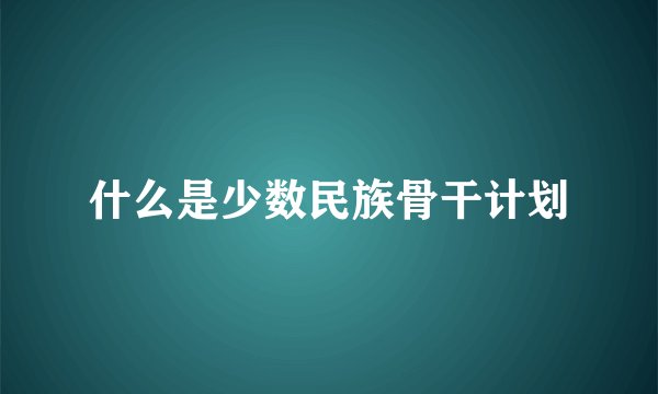 什么是少数民族骨干计划