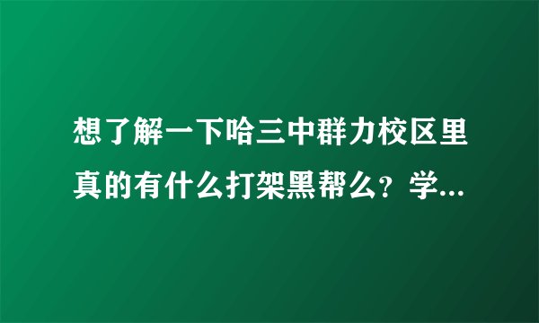 想了解一下哈三中群力校区里真的有什么打架黑帮么？学校如何？