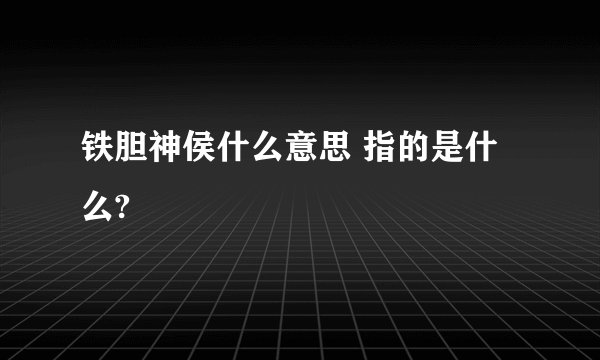 铁胆神侯什么意思 指的是什么?