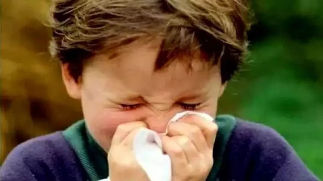 禽流感2018最新消息：H5N6病毒是什么？