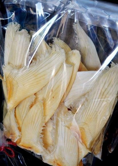 鱼翅是什么？有什么营养价值？