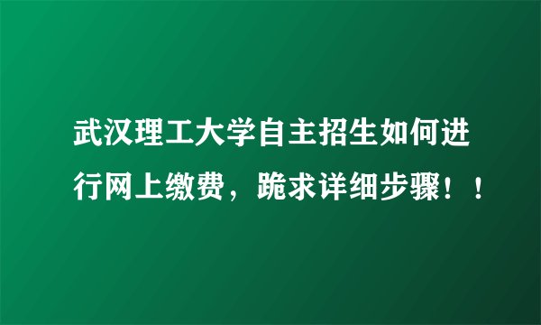 武汉理工大学自主招生如何进行网上缴费，跪求详细步骤！！