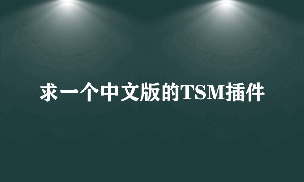求一个中文版的TSM插件